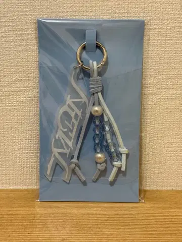 SEVENTEEN WORLD TOUR NEW_ 키링