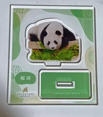 어드벤처 월드 팬더 아크릴 스탠드 사쿠라하마1
