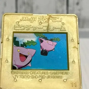 포켓몬 픽처 프레임 메이지 하네코