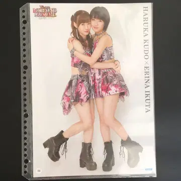 4881 모닝구무스메. 이쿠타 에리나 쿠도 하루카 핀업 포스터