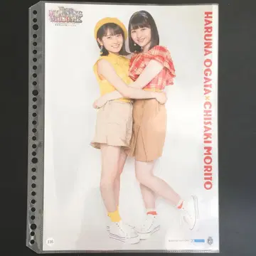 4882 모닝구 무스메. 모리토 치사키 오가타 하루나 핀업 포스터