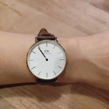 DW 시계 핑크 골드 가죽