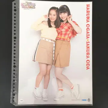 4884 모닝구무스메 오다 사쿠라 오가타 하루나 핀업 포스터