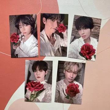 한국 TXT TOMORROW 사전 수록 포토카드 전원 5장