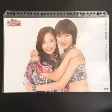 4885 모닝구 무스메. 오다 사쿠라 쿠도 하루카 핀업 포스터