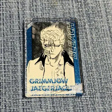 BLEACH 도미노풍 아크릴 키링 그림죠