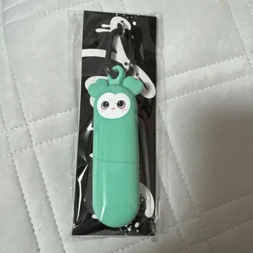 TWICE 나연 ENEMY 키케이스