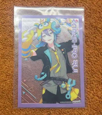 프로세카 류 클리어 시트