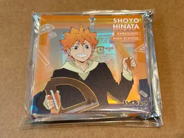 하이큐!! 복권 점페스 쇼와노트 브로키 히나타 쇼요