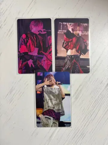 우라시마사카타센 랜덤 포토 카드 우라타누키