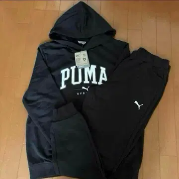PUMA 맨투맨 상하의 남성용 L 사이즈