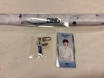 seventeen DINO 디노 태피스트리 스티커 키링