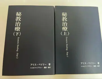 비전 치료 상하권 세트 앨리스 베일리 저