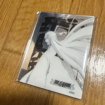 BLEACH 메탈릭 마그넷 히라코 신지