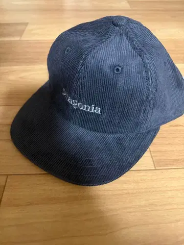파타고니아 코듀로이 캡 파타고니아