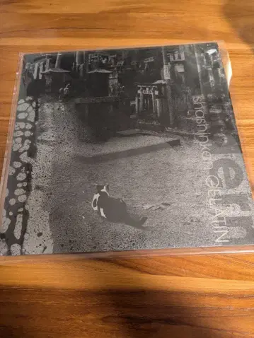 사진관 젤라틴 wandern 30th Anniversary CD