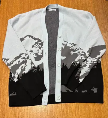 ZARA 산 풍경 가디건