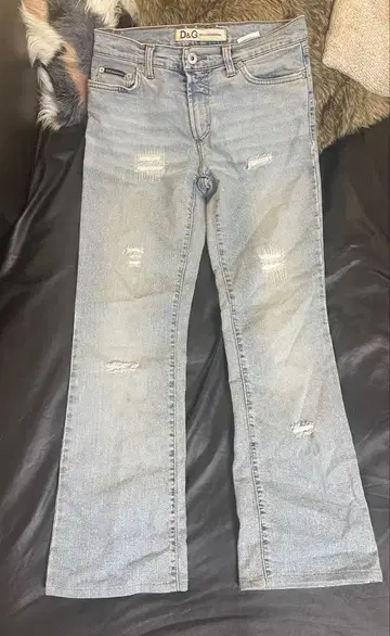 D&G 부츠컷 데님 라이트 블루