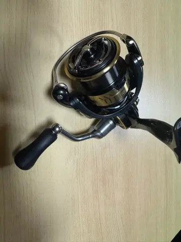 다이와 21 칼디아 LT3000 XH 커스텀품