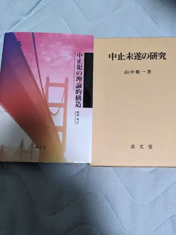 중지범의 이론적 구조 / 중지미수의 연구