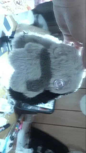 그레이와 블랙 토끼 봉제 인형