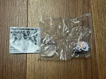 원피스 열매 보니