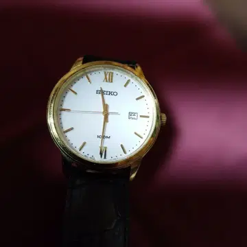 세이코 100M 쿼츠