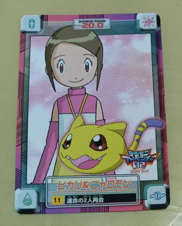 디지몬 어드벤처02 카드다스 11 이슬이(히카리) 니알로몬