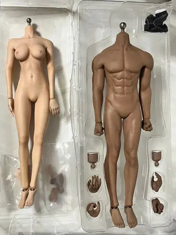 드로잉 인형 SUPER FLEXIBLE 인형 본체