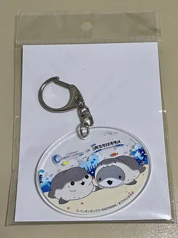 이세 씨 파라다이스 외출 아기상어 아기상어쨩 수족관 콜라보 키링