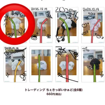 죠세마루 POPUP 그림 전시회