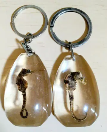 해마 키링 목걸이 실물 2점 정품 귀여운 희귀한