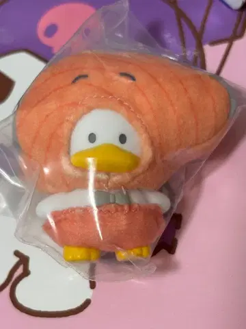 쪼꼬만 오리 뻬끌