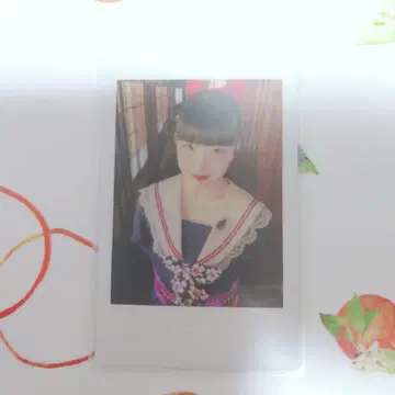 팬텀 시타 괴기 나비 사진집 Maze EP.0 린카 폴라로이드