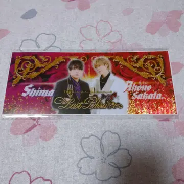 시마사카 시마사카 BD 2025 응원봉 시트 응원봉 시트