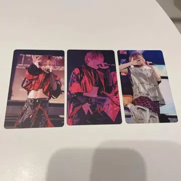 우라시마사카타센 WARNING 포토 카드 우라타누키 모음