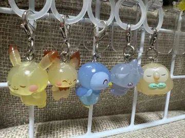 포켓몬 메지루시 액세서리