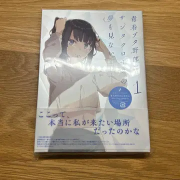 청춘 돼지는 산타클로스의 꿈을 꾸지 않아 DVD 1권