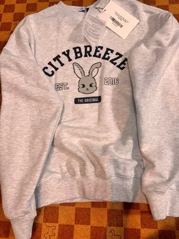 CITYBREEZE 시티 스내피 그래픽 스웨트 셔츠