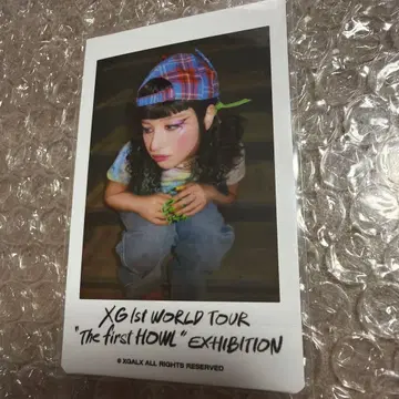 HARVEY 폴라로이드