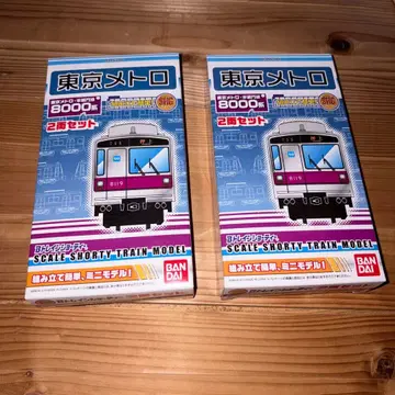 메트로 한조몬선 8000계 2상자 B트레인 쇼티