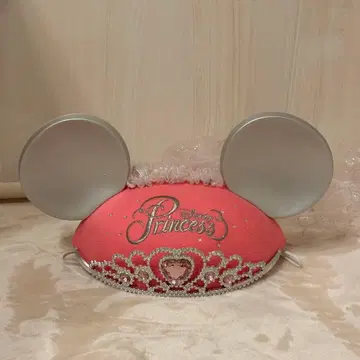 [ 레어 / 희귀 ] Disney 플로리다 디즈니 프린세스 * 이어햇