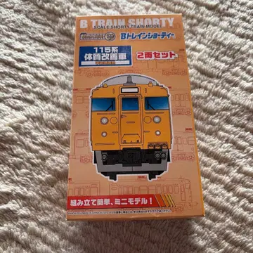 115계 체질개선차 중국지역색 1상자 B트레인쇼티