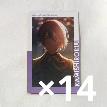 프로세카 카미시로 루이 특훈 전 14B 에피카