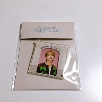 미개봉 새상품 SEVENTEEN 조슈아 케렌 아크릴 사진 키링