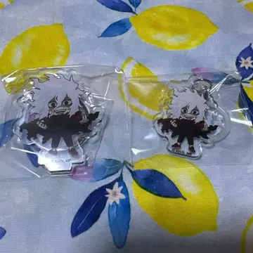 점페스 히로아카 HMV 시가라키