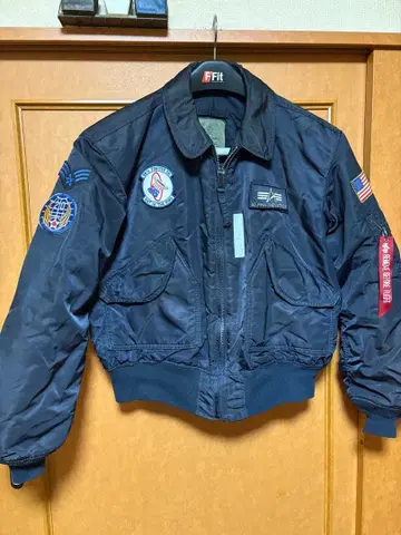 알파퍼ma-1 (cwu45p)