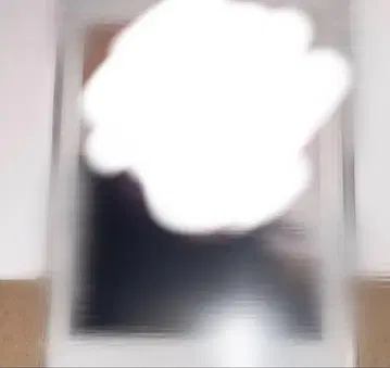 테루토 군 폴라로이드