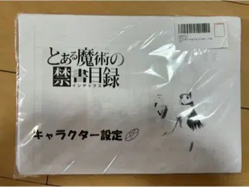 어떤 마술의 금서목록 설정 자료 179장