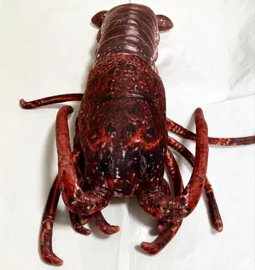 해산물 시장 이세에비 봉제 인형